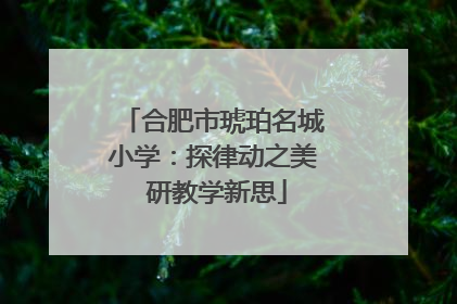 合肥市琥珀名城小学：探律动之美 研教学新思