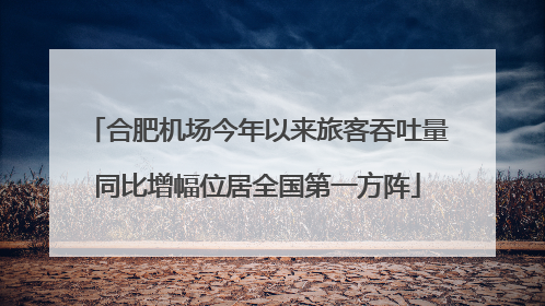 合肥机场今年以来旅客吞吐量同比增幅位居全国第一方阵