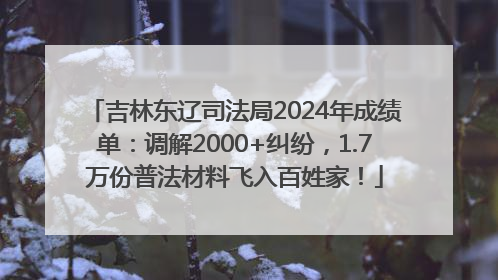 吉林东辽司法局2024年成绩单：调解2000+纠纷，1.7万份普法材料飞入百姓家！