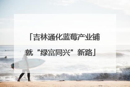 吉林通化蓝莓产业铺就“绿富同兴”新路