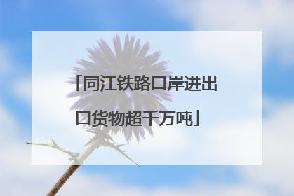 同江铁路口岸进出口货物超千万吨