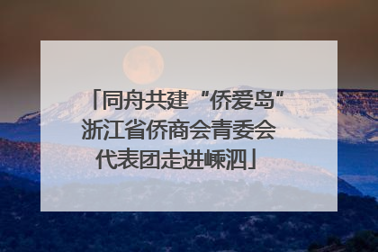 同舟共建“侨爱岛” 浙江省侨商会青委会代表团走进嵊泗