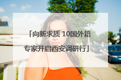 向新求质 10国外籍专家开启西安调研行