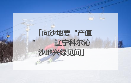 向沙地要“产值”——辽宁科尔沁沙地兴绿见闻