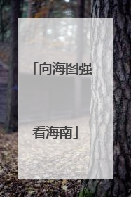 向海图强看海南