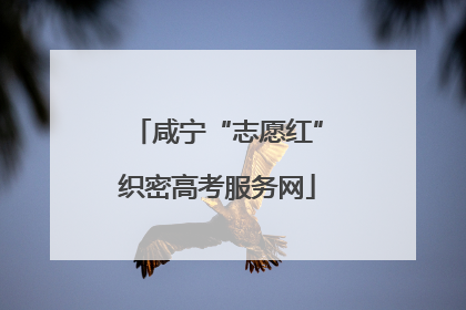 咸宁“志愿红”织密高考服务网