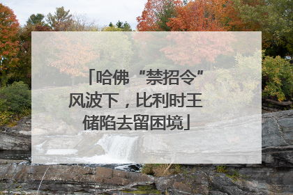 哈佛“禁招令”风波下，比利时王储陷去留困境