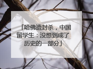 哈佛遭封杀，中国留学生：没想到成了历史的一部分