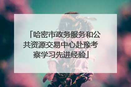 哈密市政务服务和公共资源交易中心赴豫考察学习先进经验