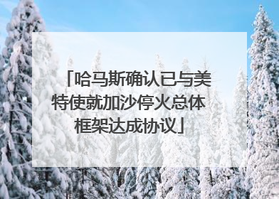 哈马斯确认已与美特使就加沙停火总体框架达成协议