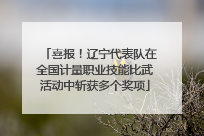 喜报！辽宁代表队在全国计量职业技能比武活动中斩获多个奖项