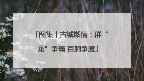图集丨古城燃情：群“龙”争霸 百舸争渡