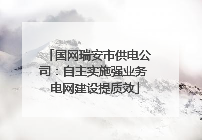 国网瑞安市供电公司：自主实施强业务 电网建设提质效