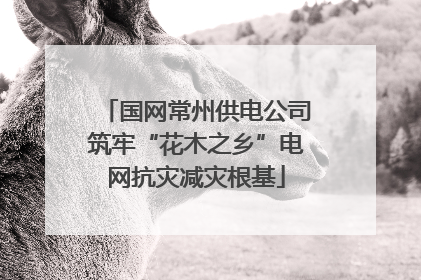 国网常州供电公司筑牢“花木之乡”电网抗灾减灾根基