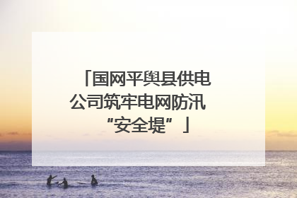 国网平舆县供电公司筑牢电网防汛“安全堤”