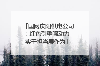 国网庆阳供电公司：红色引擎强动力 实干担当展作为