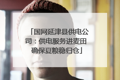 国网延津县供电公司：供电服务进麦田 确保夏粮稳归仓