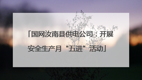 国网汝南县供电公司：开展安全生产月“五进”活动