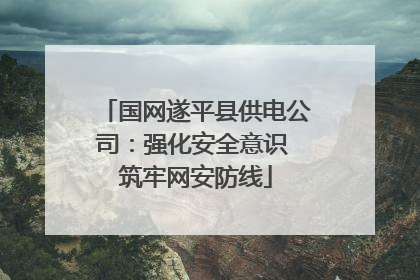 国网遂平县供电公司：强化安全意识 筑牢网安防线