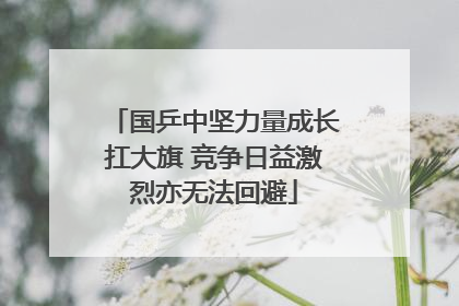 国乒中坚力量成长扛大旗 竞争日益激烈亦无法回避