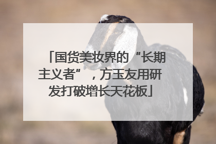 国货美妆界的“长期主义者”,方玉友用研发打破增长天花板