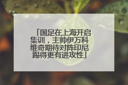 国足在上海开启集训，主帅伊万科维奇期待对阵印尼踢得更有进攻性