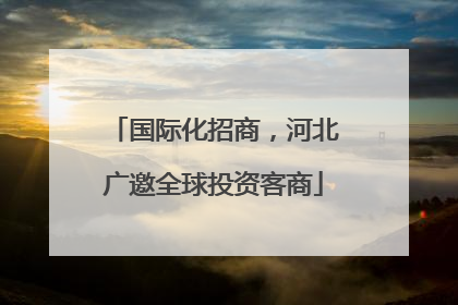 国际化招商，河北广邀全球投资客商