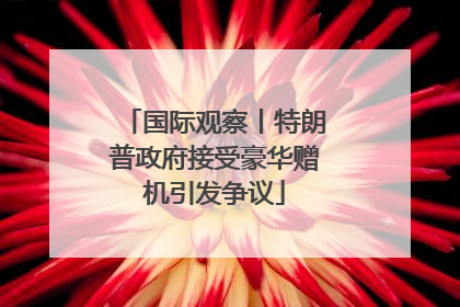 国际观察丨特朗普政府接受豪华赠机引发争议