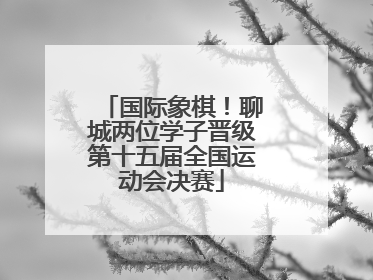 国际象棋！聊城两位学子晋级第十五届全国运动会决赛