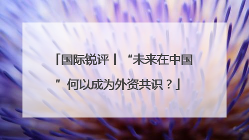 国际锐评丨“未来在中国”何以成为外资共识？