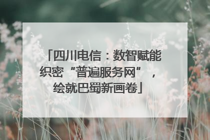 四川电信：数智赋能织密“普遍服务网”，绘就巴蜀新画卷