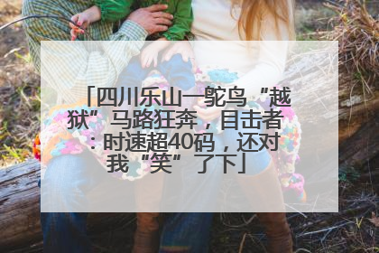 四川乐山一鸵鸟“越狱”马路狂奔，目击者：时速超40码，还对我“笑”了下
