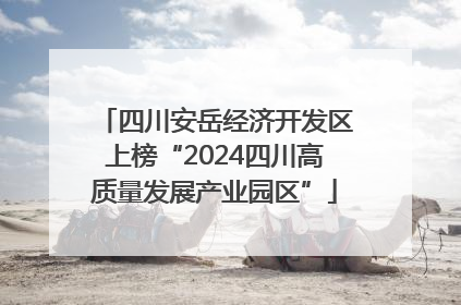 四川安岳经济开发区上榜“2024四川高质量发展产业园区”