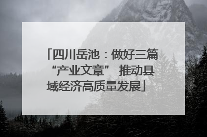 四川岳池：做好三篇“产业文章” 推动县域经济高质量发展