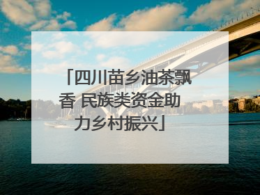 四川苗乡油茶飘香 民族类资金助力乡村振兴