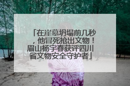在崖墓坍塌前几秒，他冒死抢出文物！眉山杨宇春获评四川省文物安全守护者