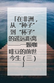 在非洲，从“种子”到“杯子”的遥远距离——一颗咖啡豆的前世今生（三）