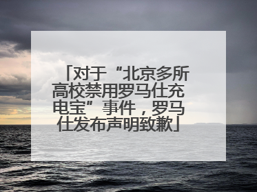 对于“北京多所高校禁用罗马仕充电宝”事件，罗马仕发布声明致歉
