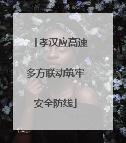 孝汉应高速多方联动筑牢安全防线