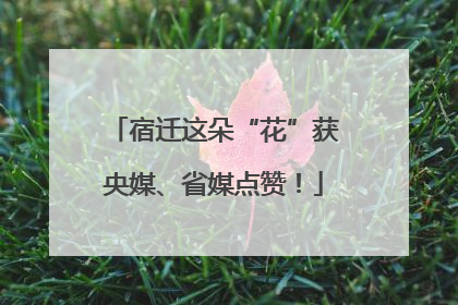 宿迁这朵“花”获央媒、省媒点赞！