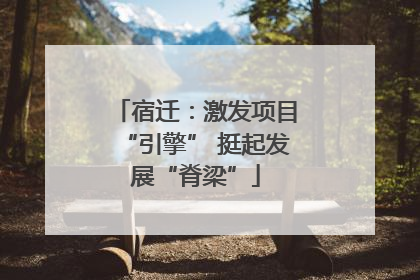 宿迁：激发项目“引擎” 挺起发展“脊梁”