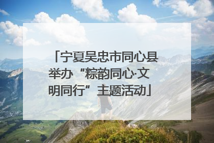 宁夏吴忠市同心县举办“粽韵同心·文明同行”主题活动