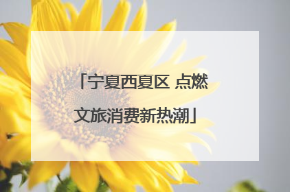 宁夏西夏区 点燃文旅消费新热潮