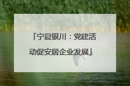宁夏银川：党建活动促安居企业发展