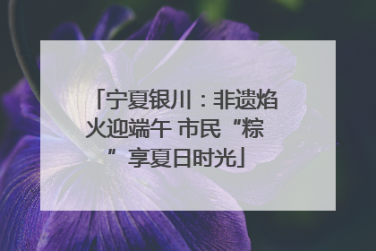 宁夏银川：非遗焰火迎端午 市民“粽”享夏日时光