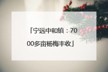 宁远中和镇：7000多亩杨梅丰收
