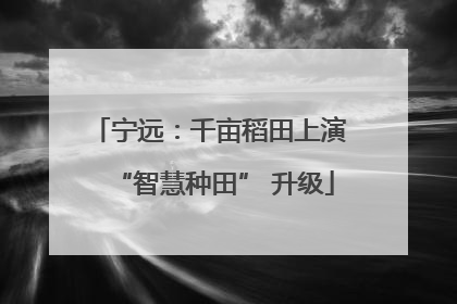 宁远：千亩稻田上演 “智慧种田” 升级