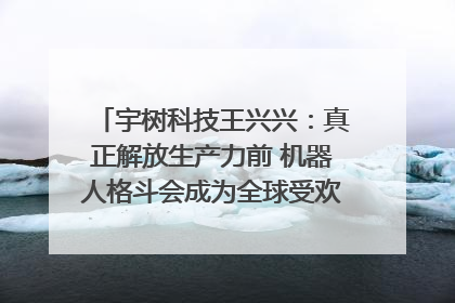 宇树科技王兴兴：真正解放生产力前 机器人格斗会成为全球受欢迎的赛事｜科技观察