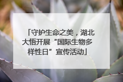 守护生命之美，湖北大悟开展“国际生物多样性日”宣传活动
