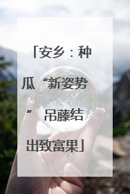 安乡：种瓜“新姿势” 吊藤结出致富果